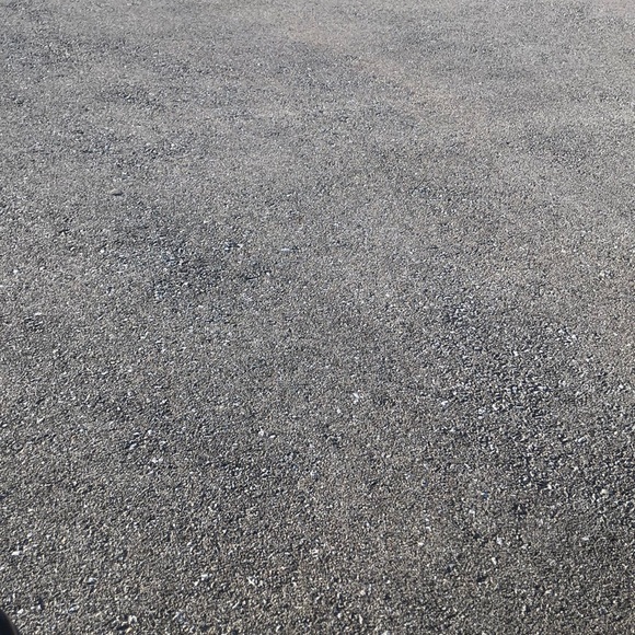 Meet your Posher, Demi - Picture 1 of 1